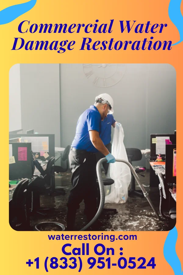 Commercial Water Damage Restoration in Geneseo, KS