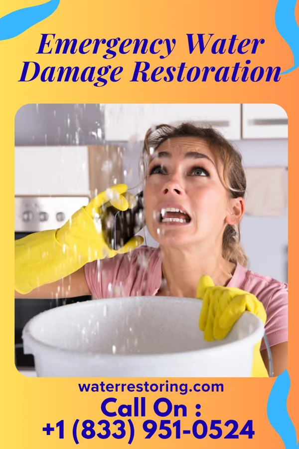 Emergency Water Damage Restoration in Geneseo, KS
