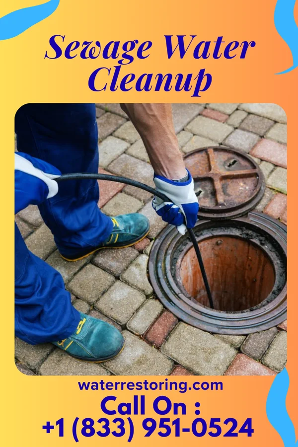 Sewage Water Cleanup in Geneseo, KS