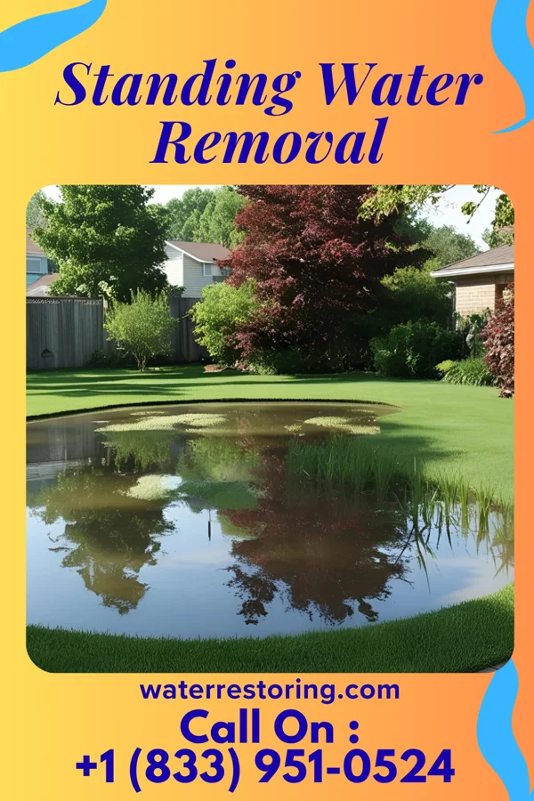 Standing Water Removal in Geneseo, KS